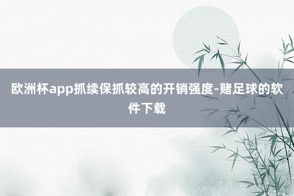 欧洲杯app抓续保抓较高的开销强度-赌足球的软件下载