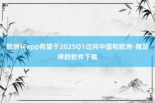 欧洲杯app有望于2025Q1过问中国和欧洲-赌足球的软件下载