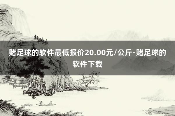 赌足球的软件最低报价20.00元/公斤-赌足球的软件下载