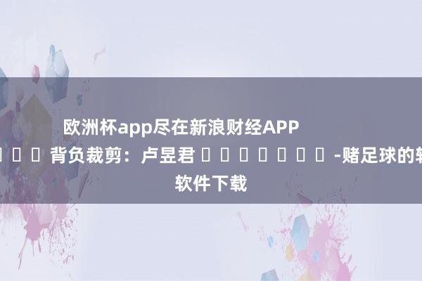 欧洲杯app尽在新浪财经APP            						背负裁剪：卢昱君 							-赌足球的软件下载