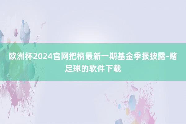 欧洲杯2024官网把柄最新一期基金季报披露-赌足球的软件下载