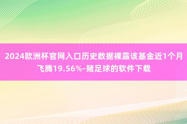 2024欧洲杯官网入口历史数据裸露该基金近1个月飞腾19.56%-赌足球的软件下载