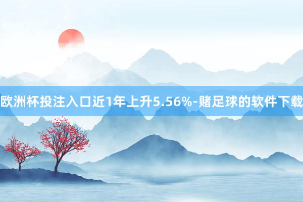 欧洲杯投注入口近1年上升5.56%-赌足球的软件下载