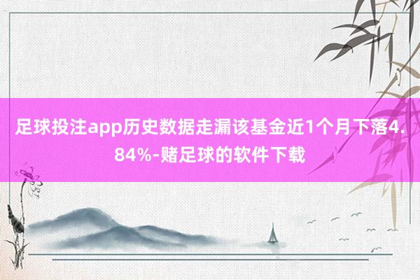 足球投注app历史数据走漏该基金近1个月下落4.84%-赌足球的软件下载