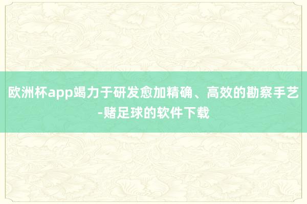 欧洲杯app竭力于研发愈加精确、高效的勘察手艺-赌足球的软件下载