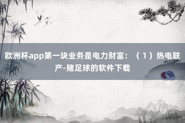 欧洲杯app第一块业务是电力财富：（１）热电联产-赌足球的软件下载