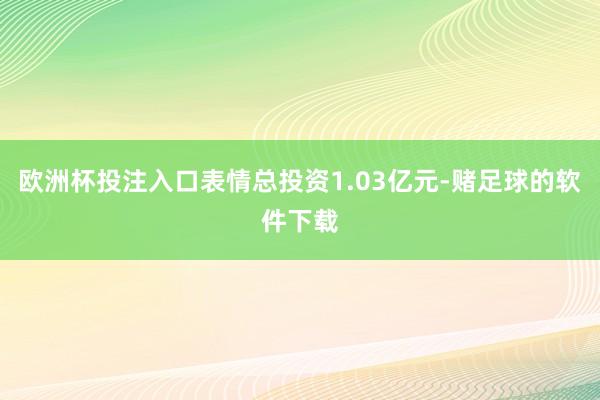 欧洲杯投注入口表情总投资1.03亿元-赌足球的软件下载