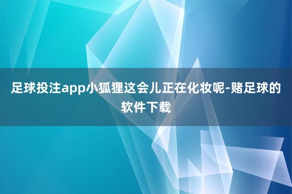 足球投注app小狐狸这会儿正在化妆呢-赌足球的软件下载