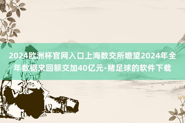 2024欧洲杯官网入口上海数交所瞻望2024年全年数据来回额交加40亿元-赌足球的软件下载