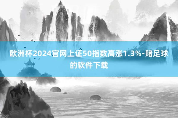 欧洲杯2024官网上证50指数高涨1.3%-赌足球的软件下载