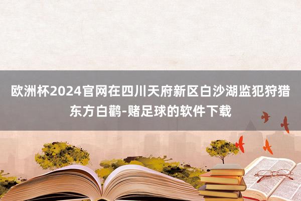 欧洲杯2024官网在四川天府新区白沙湖监犯狩猎东方白鹳-赌足球的软件下载