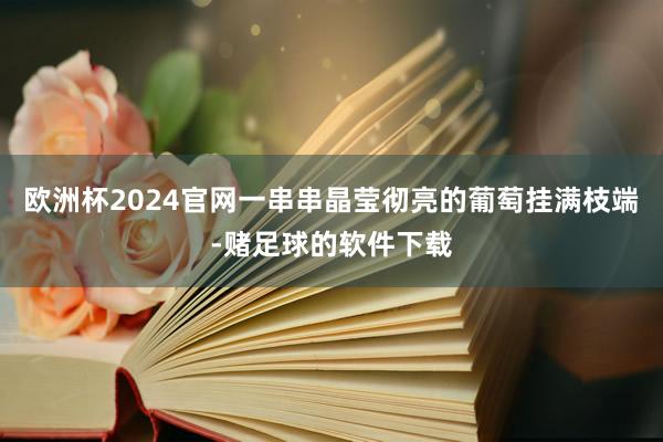 欧洲杯2024官网一串串晶莹彻亮的葡萄挂满枝端-赌足球的软件下载