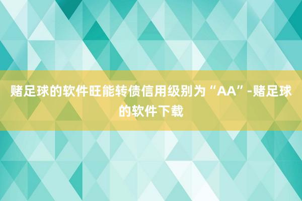 赌足球的软件旺能转债信用级别为“AA”-赌足球的软件下载