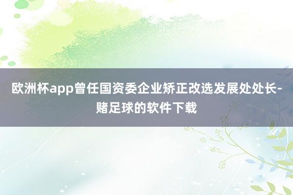 欧洲杯app曾任国资委企业矫正改选发展处处长-赌足球的软件下载