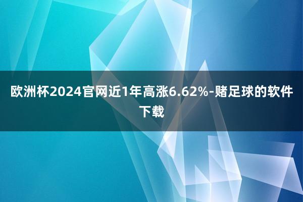 欧洲杯2024官网近1年高涨6.62%-赌足球的软件下载