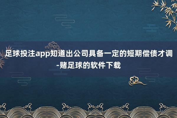 足球投注app知道出公司具备一定的短期偿债才调-赌足球的软件下载