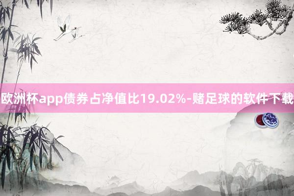 欧洲杯app债券占净值比19.02%-赌足球的软件下载