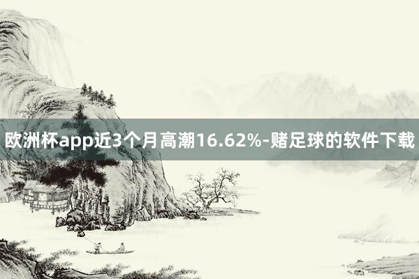 欧洲杯app近3个月高潮16.62%-赌足球的软件下载