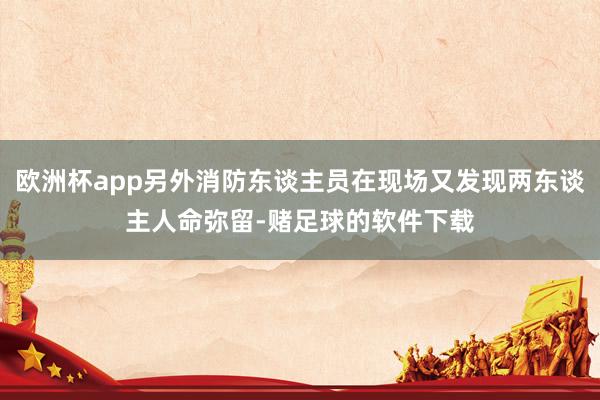 欧洲杯app另外消防东谈主员在现场又发现两东谈主人命弥留-赌足球的软件下载