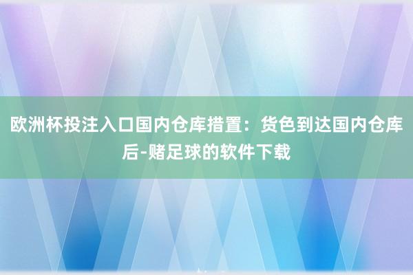 欧洲杯投注入口国内仓库措置：货色到达国内仓库后-赌足球的软件下载