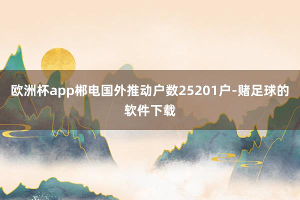 欧洲杯app郴电国外推动户数25201户-赌足球的软件下载