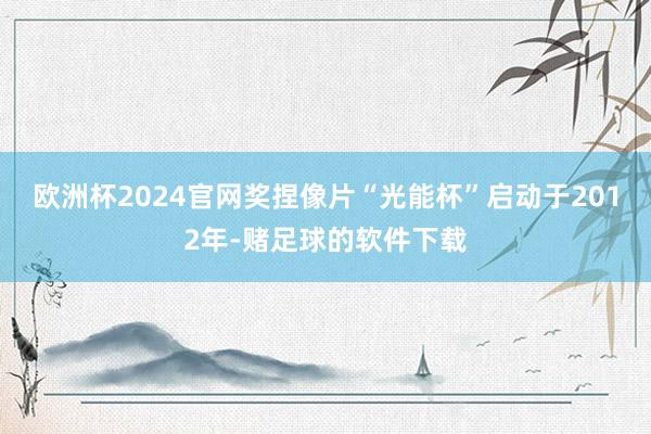 欧洲杯2024官网奖捏像片“光能杯”启动于2012年-赌足球的软件下载