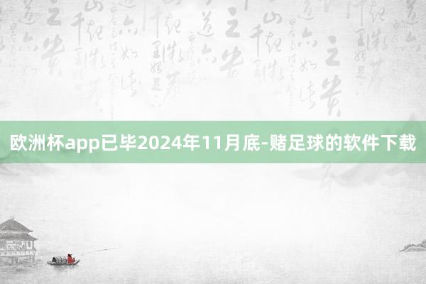 欧洲杯app已毕2024年11月底-赌足球的软件下载