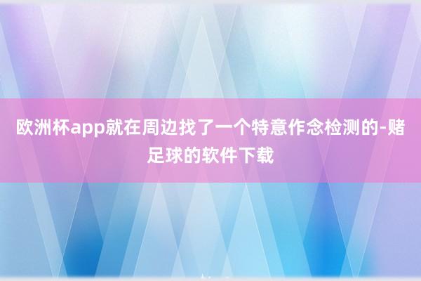 欧洲杯app就在周边找了一个特意作念检测的-赌足球的软件下载