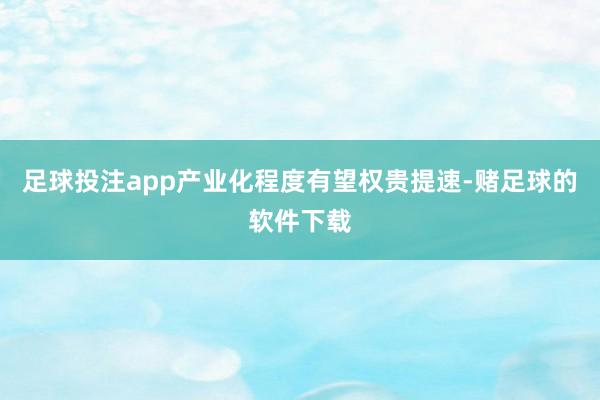 足球投注app产业化程度有望权贵提速-赌足球的软件下载