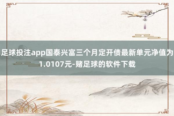 足球投注app国泰兴富三个月定开债最新单元净值为1.0107元-赌足球的软件下载