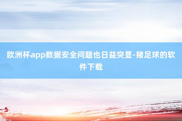 欧洲杯app数据安全问题也日益突显-赌足球的软件下载