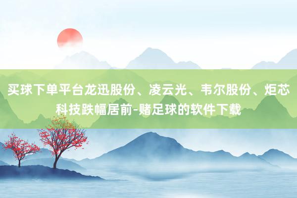 买球下单平台龙迅股份、凌云光、韦尔股份、炬芯科技跌幅居前-赌足球的软件下载