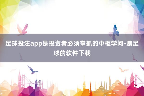 足球投注app是投资者必须掌抓的中枢学问-赌足球的软件下载